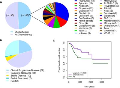 Predictive value of DNA methylation in the efficacy of chemotherapy for gastric cancer